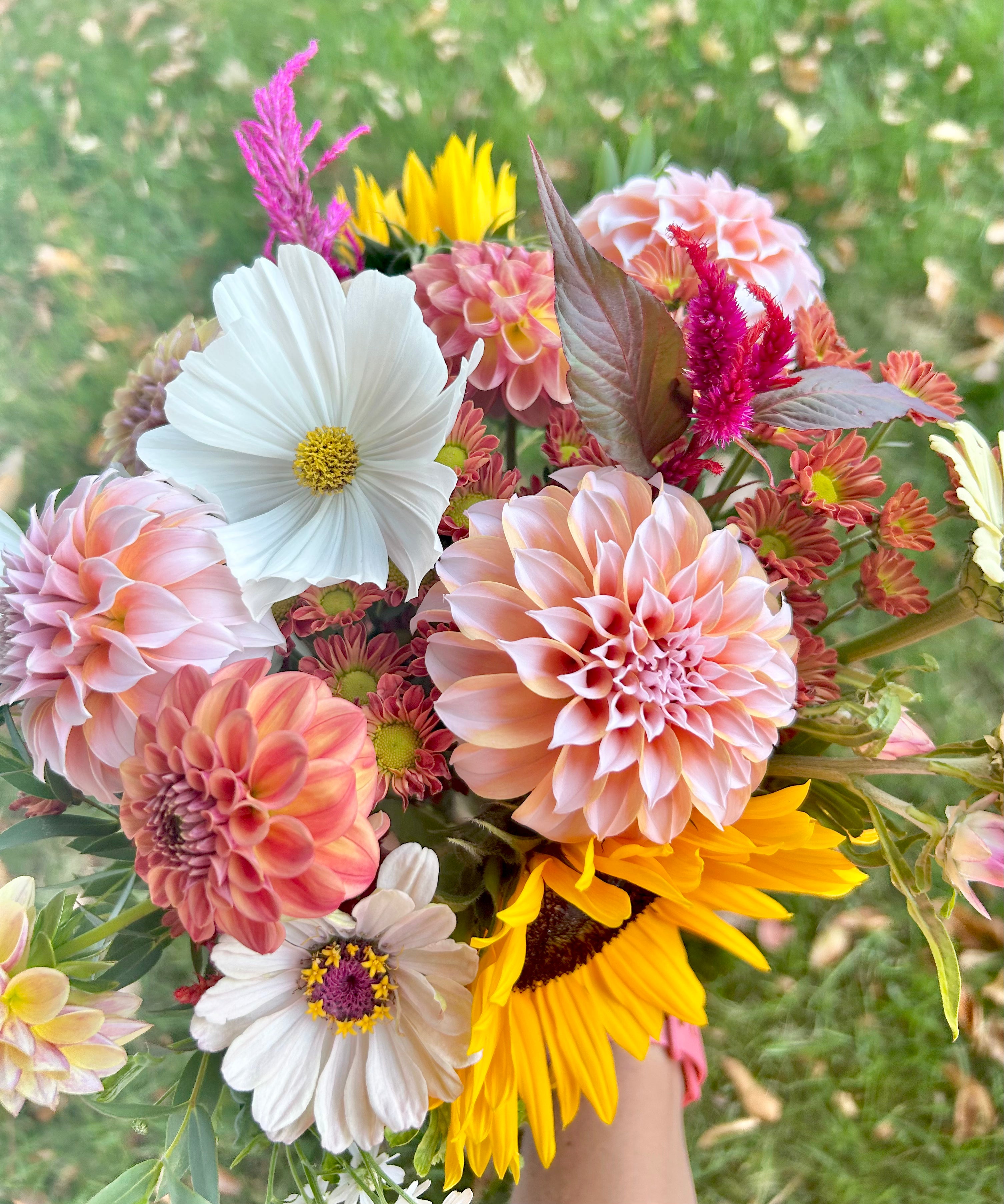 10 Bouquet Flower Subscription